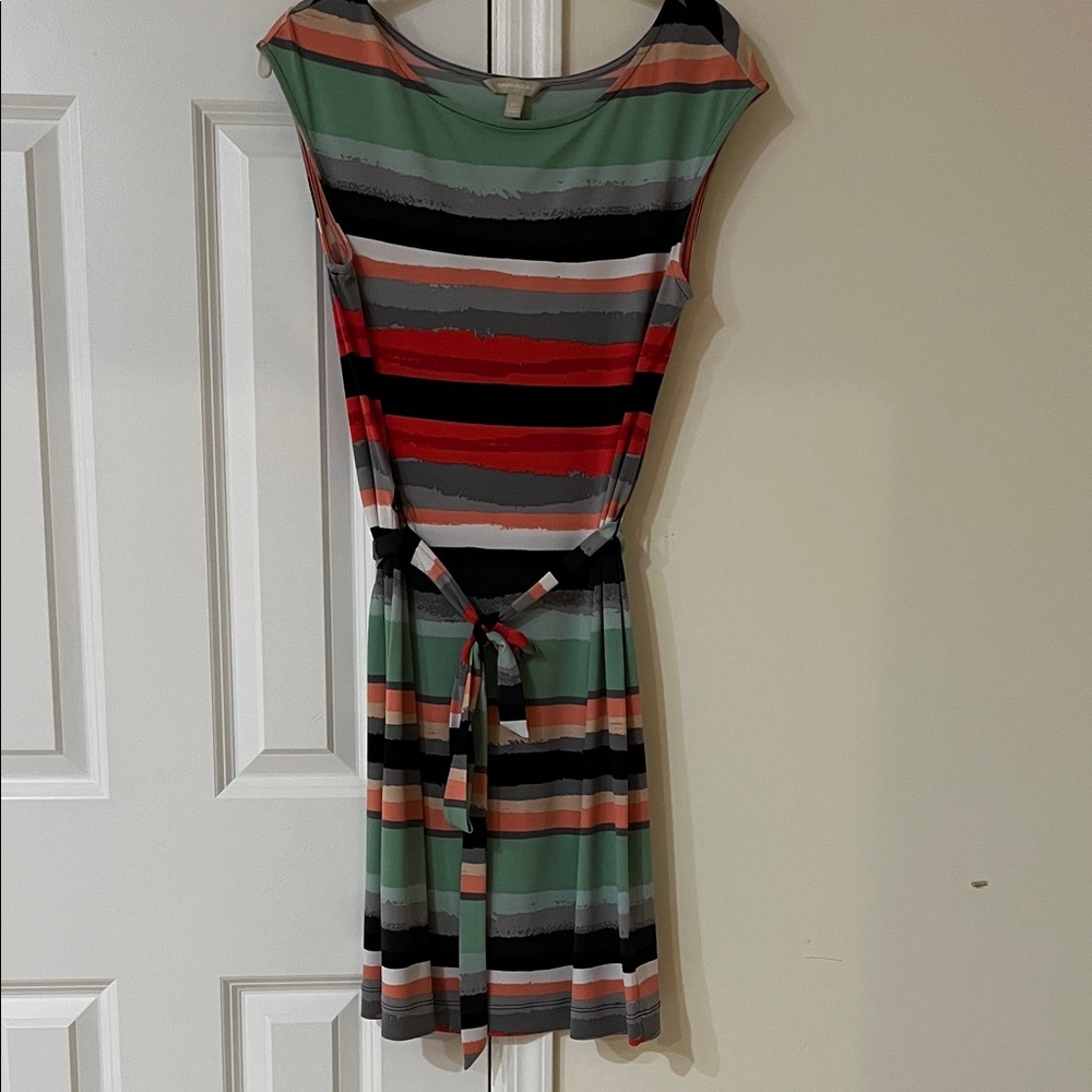 Banana Republic Multicolor Striped Mini Dress